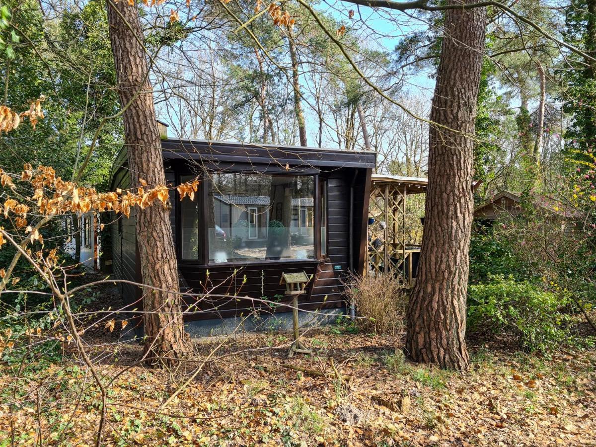Chalet Boslust IJhorst Exterior foto