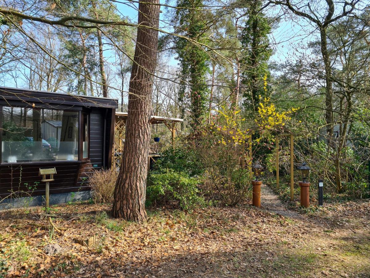 Chalet Boslust IJhorst Exterior foto